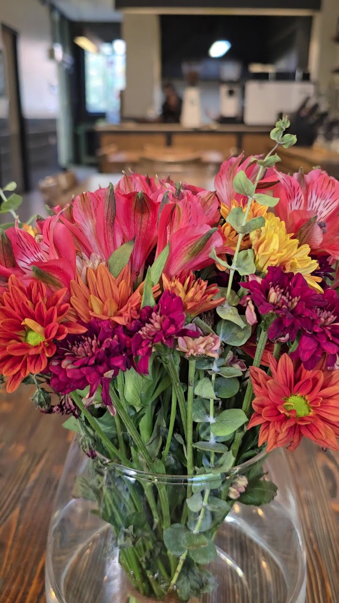 Café Theater Shiraz - 4