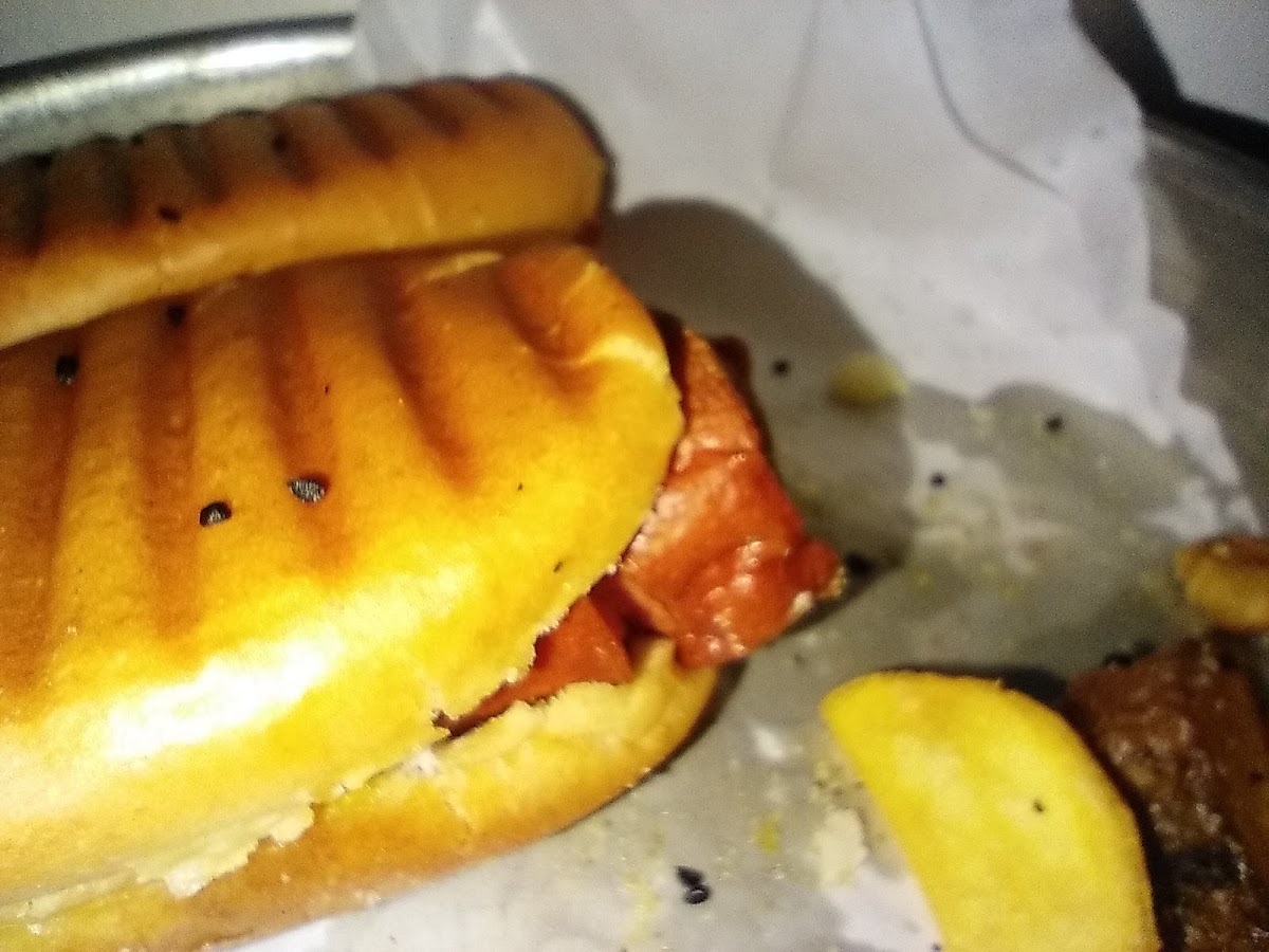 Café Theater Shiraz - 7