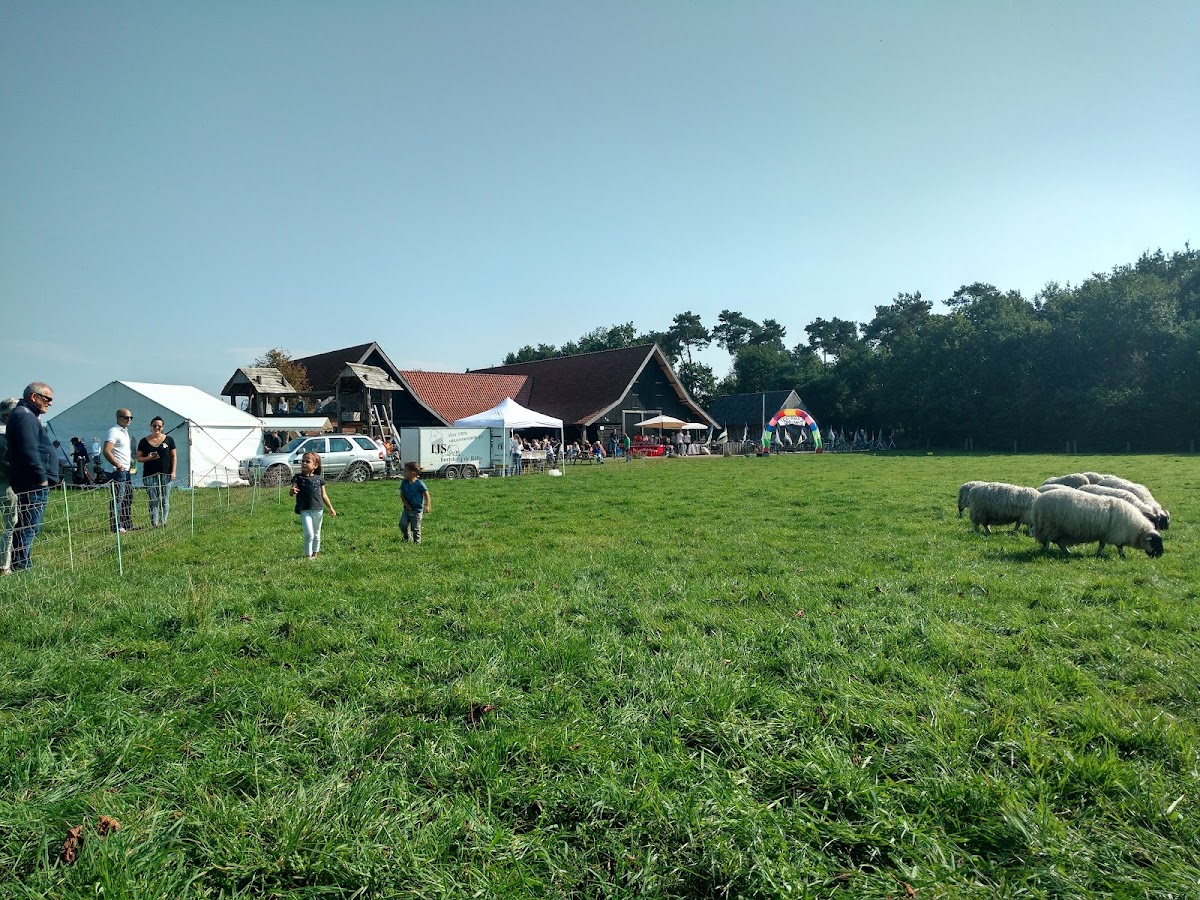 Schaapskooi Stroothuizen - 3