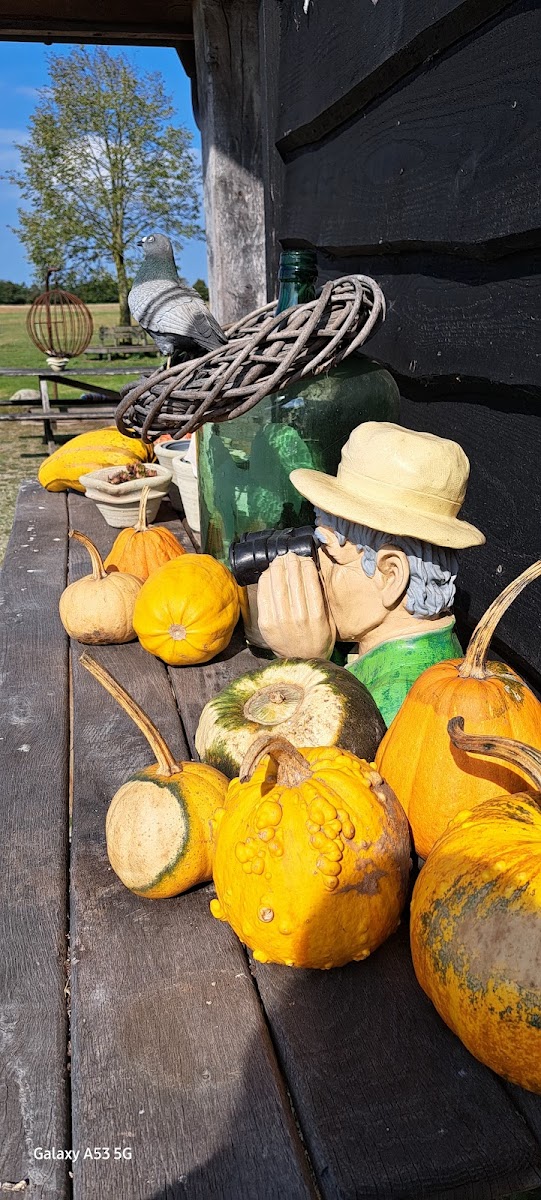 Schaapskooi Stroothuizen - 8