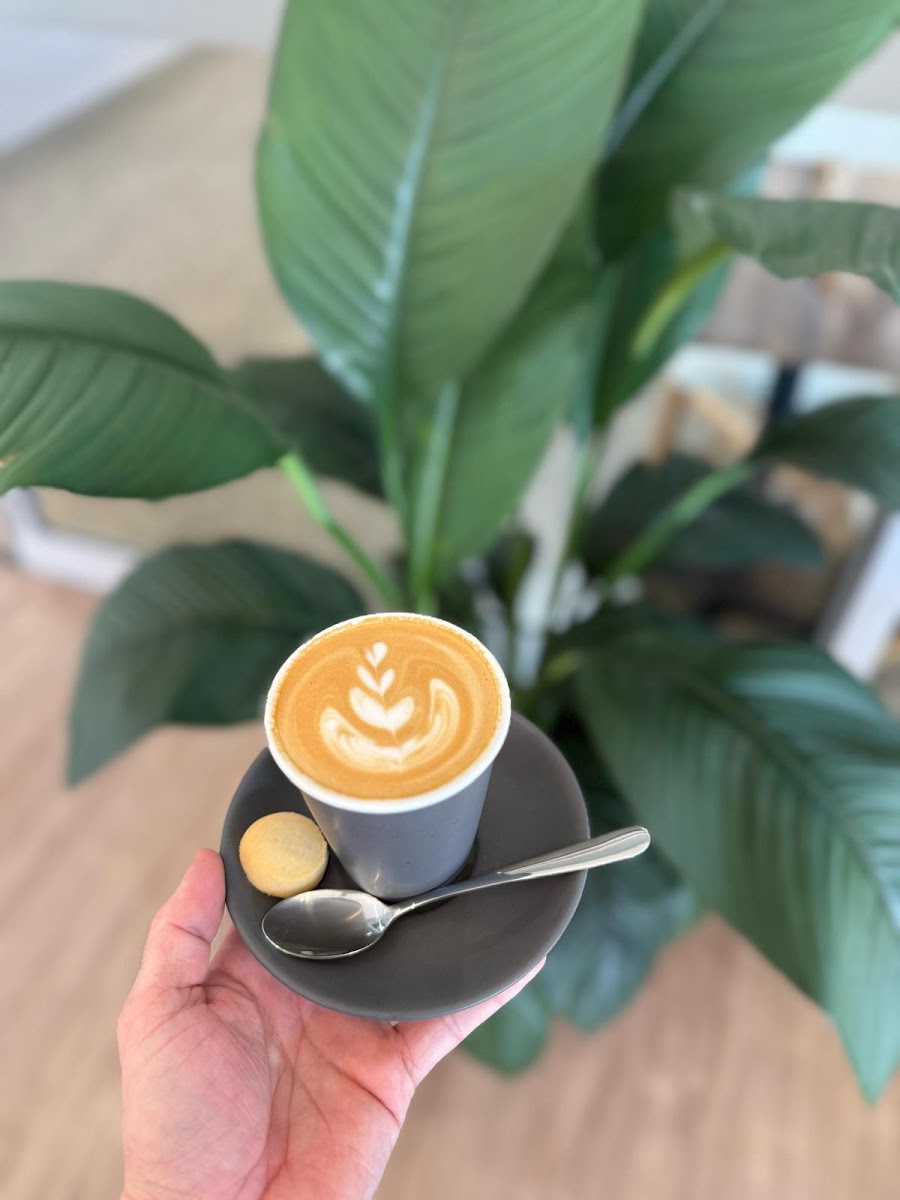 Sizzle and Drizzle cafe and restaurant - 8