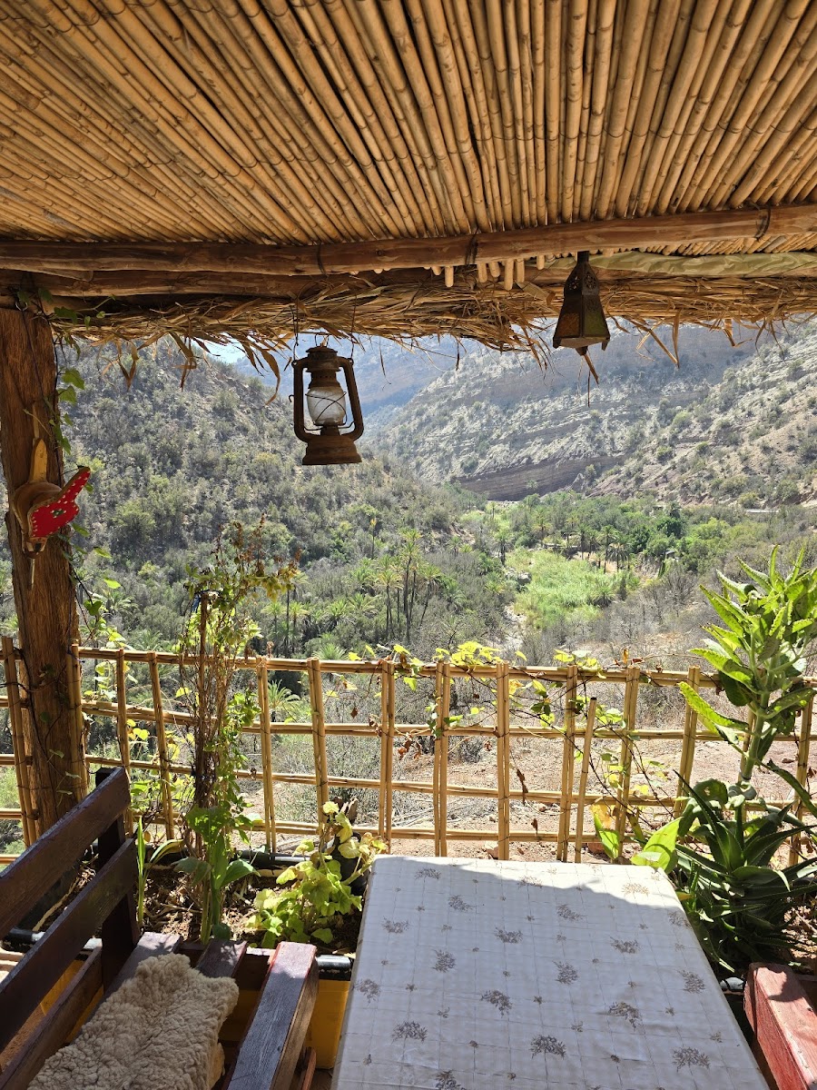 Café Le Palmier - 3