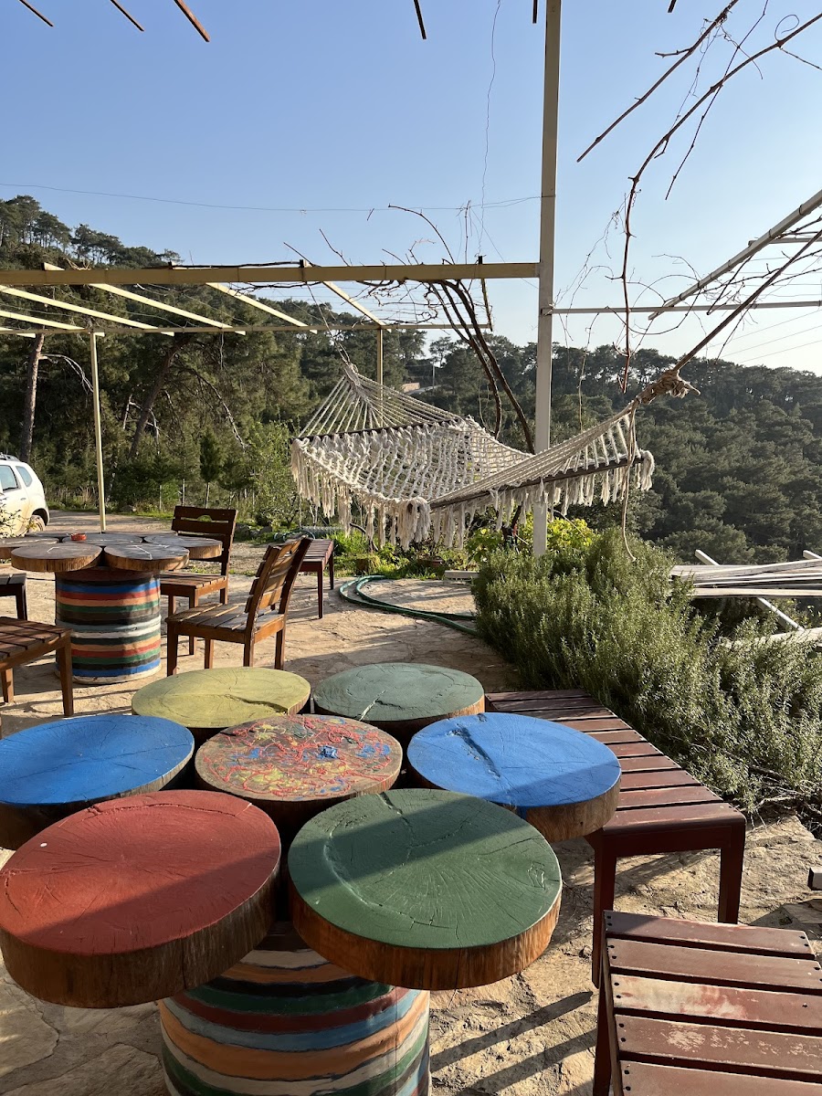 SifaKafe - Art & Science