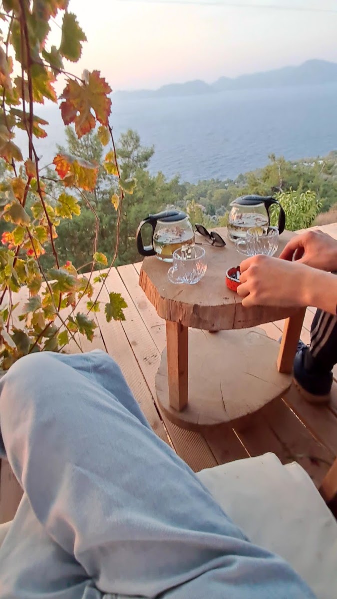 SifaKafe - Art & Science - 2