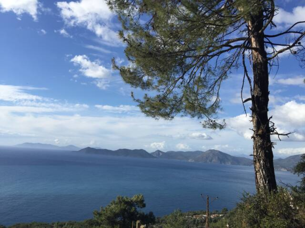 SifaKafe - Art & Science - 4