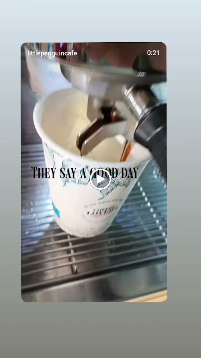 Little Penguin Café - 6