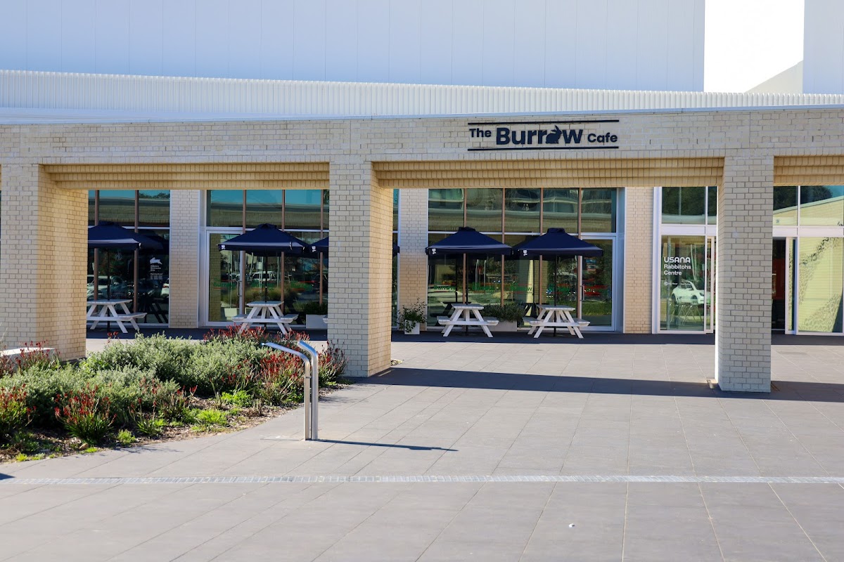 The Burrow Cafe