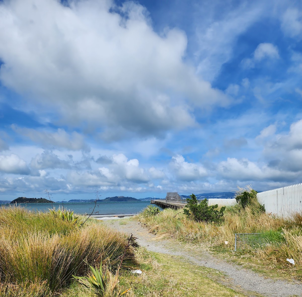 The Flying Bean Coffee Shop - 4