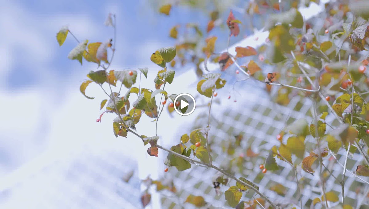 BRING CIRCULAR TAKAO - 2