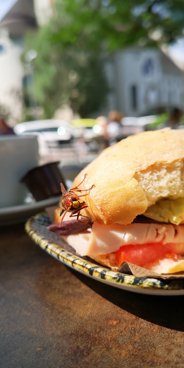 Livi's Cafe & Lounge - 3