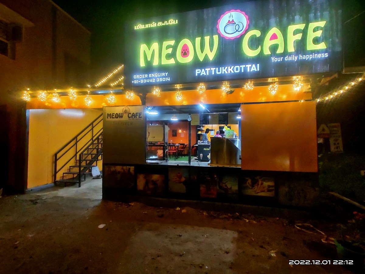 Meow Cafe