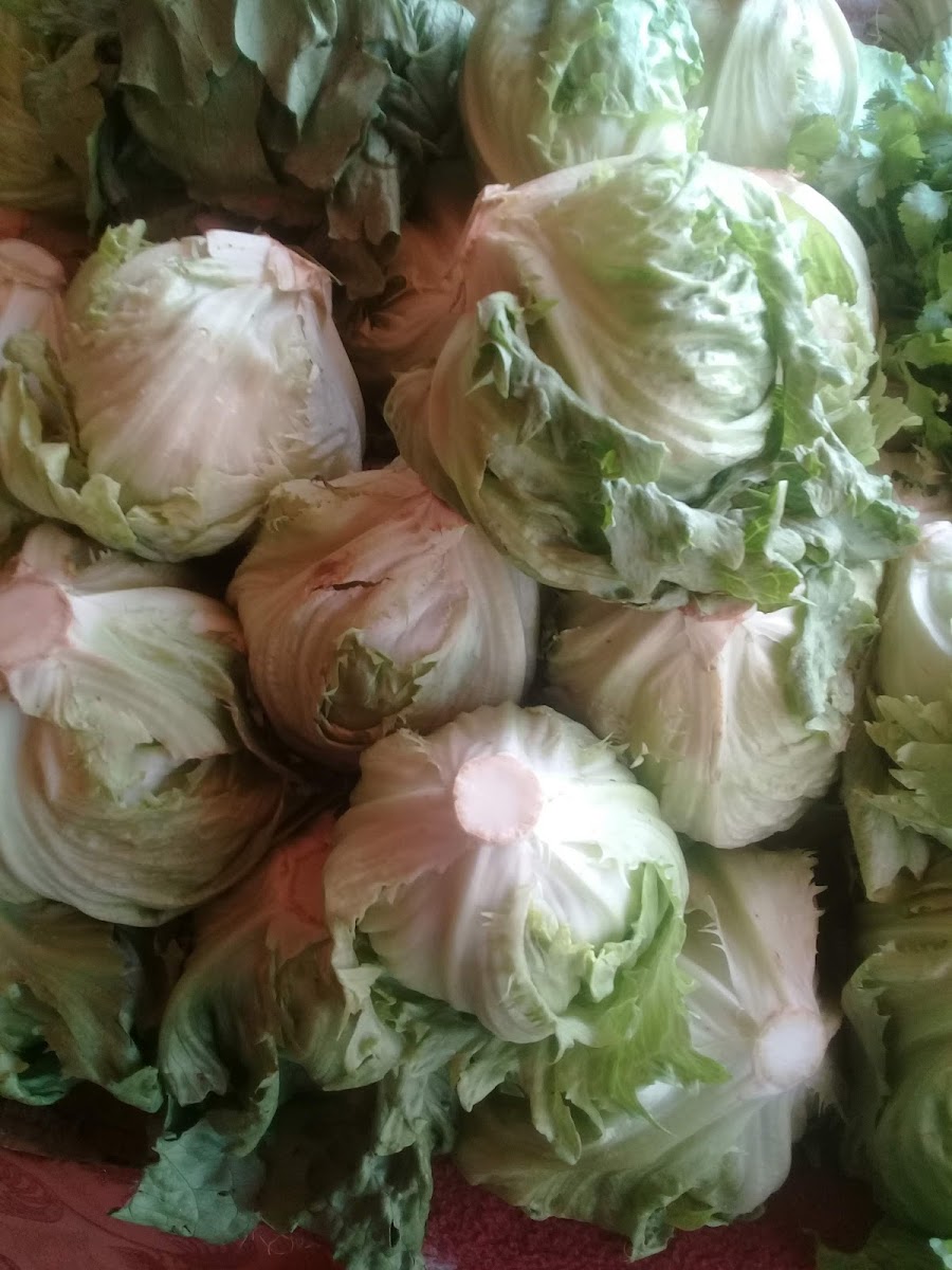 Traffic light Café - 3