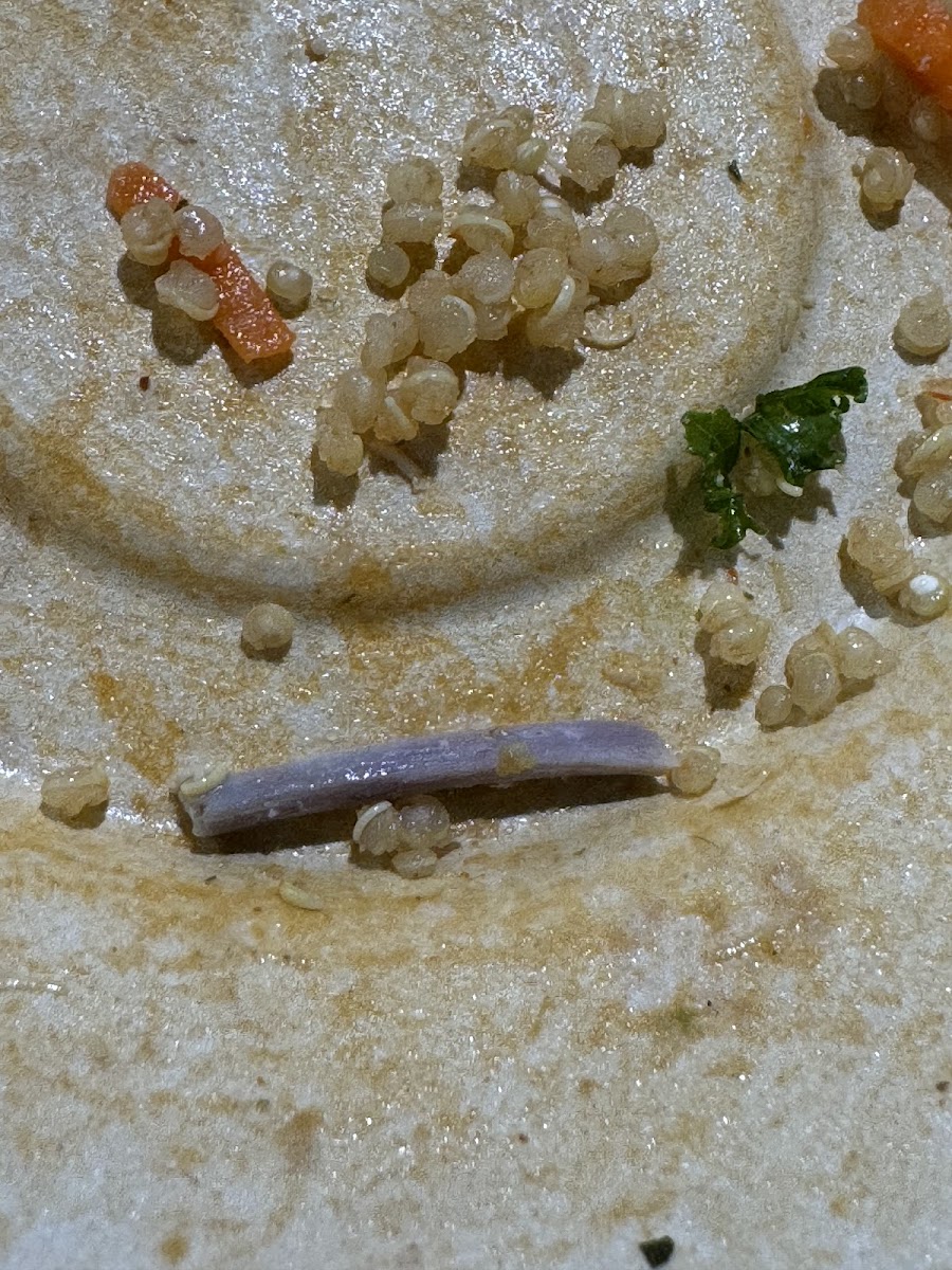 Cali Press 2 Market St - 6