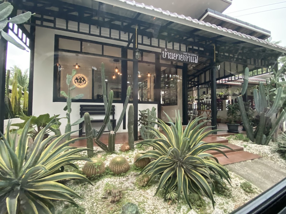 Ban Yai Coffee