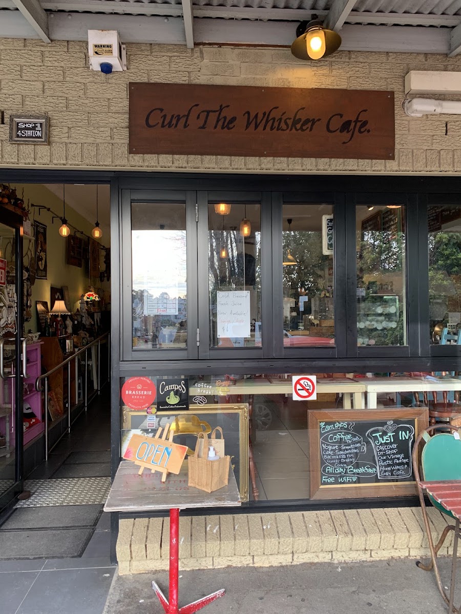 Curl the Whisker Cafe