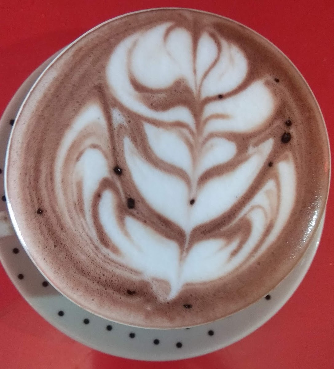 Nacara Ellit's Cafe - 4