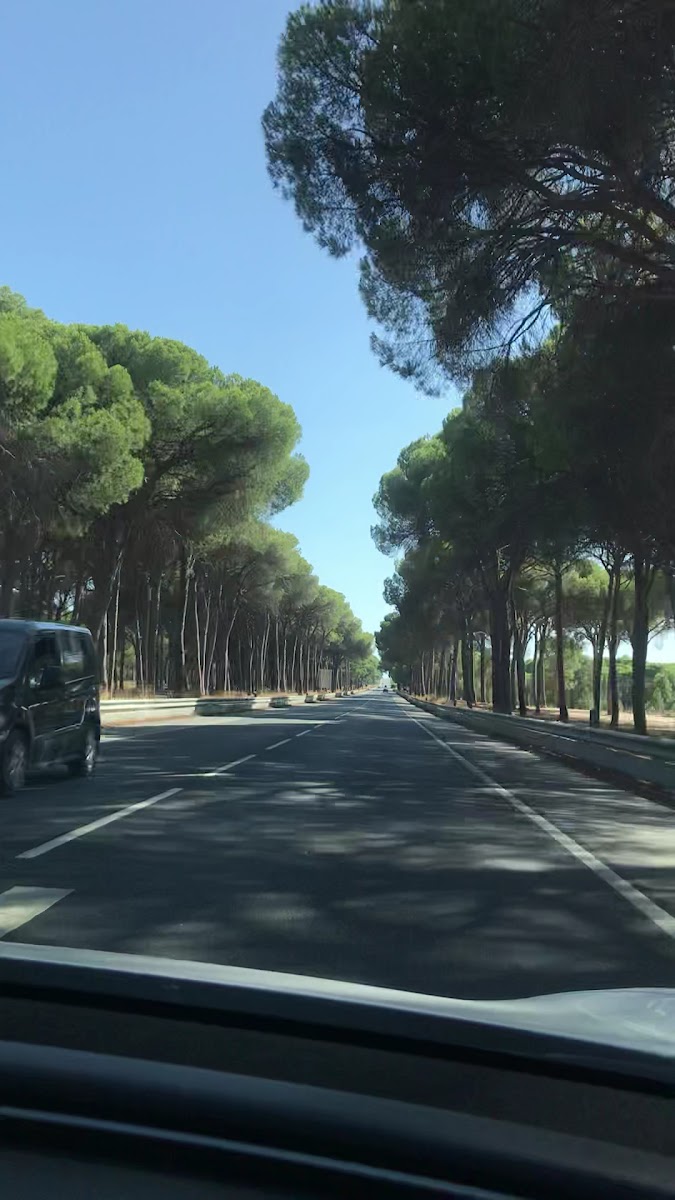 Quiosque da Quintinha - 5