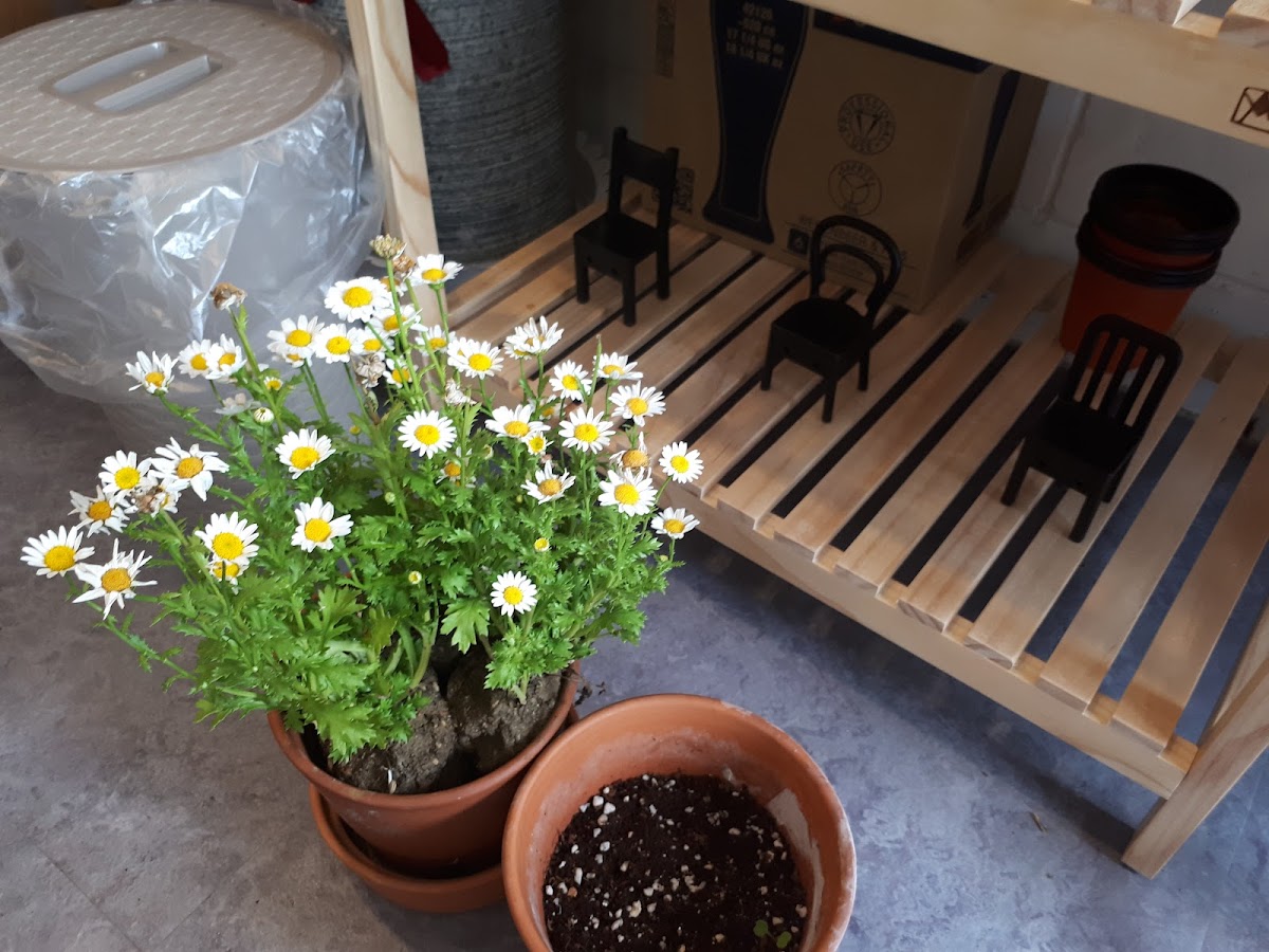 에그 앤 커피 Eggs N Coffee - 4