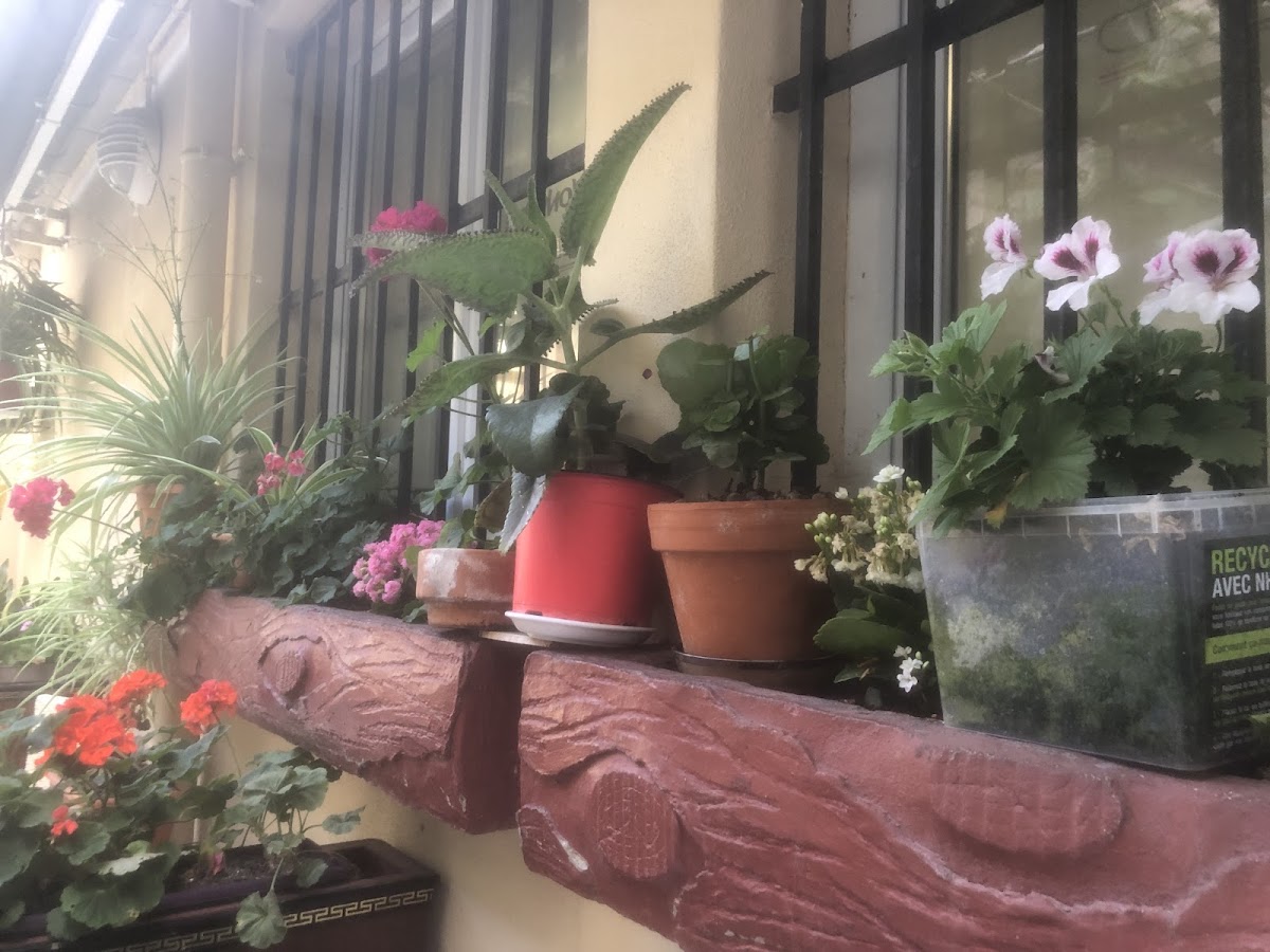 Café Tabac De La Paix - 4