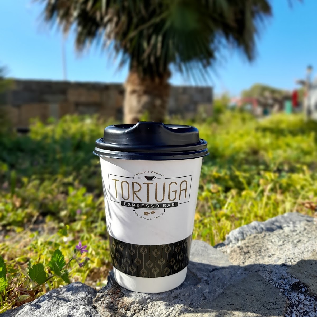 Tortuga espresso bar - 3