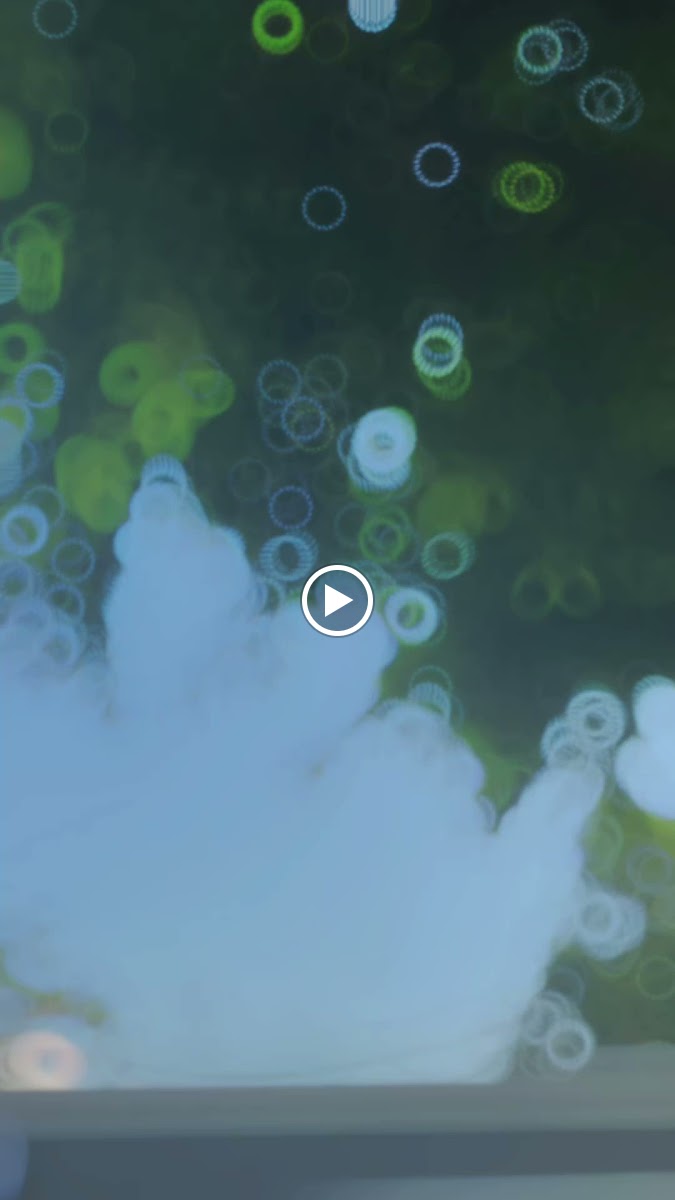 Eliseo Coffee and Mixtail - 2