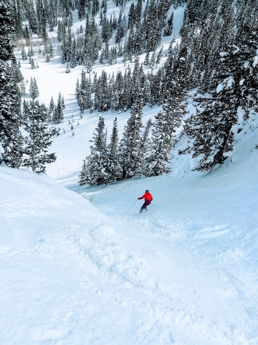 Deer Crest Cabin - 4