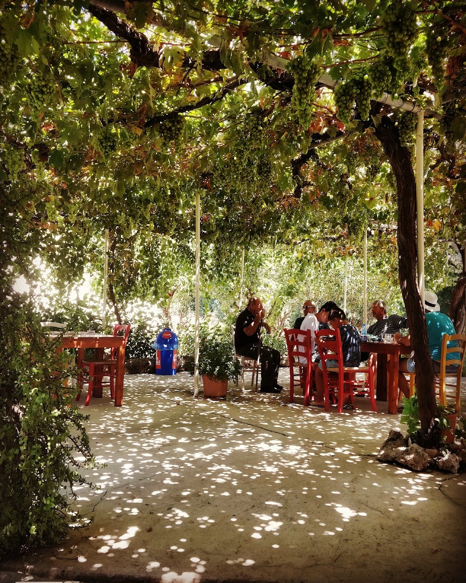 Grape Vine - Coffee & Snacks - 9