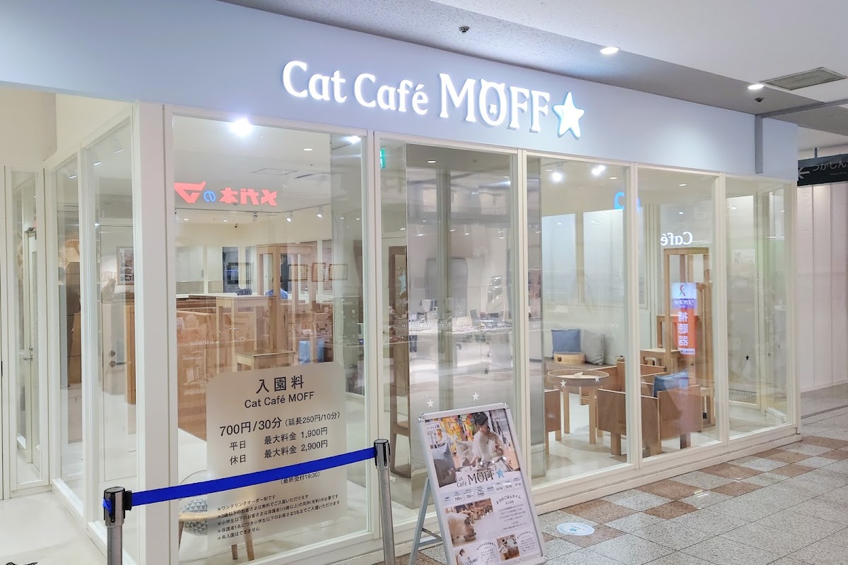 Cat Café MOFF Tsukashin