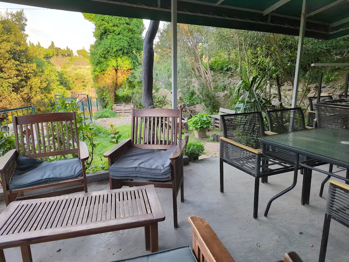 Caffe Bar Bonsai - 4