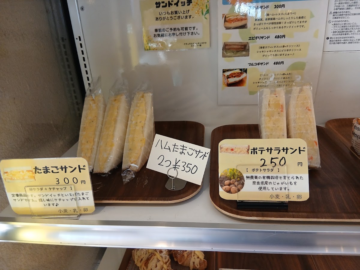 Natural Cafe Monstera - 8