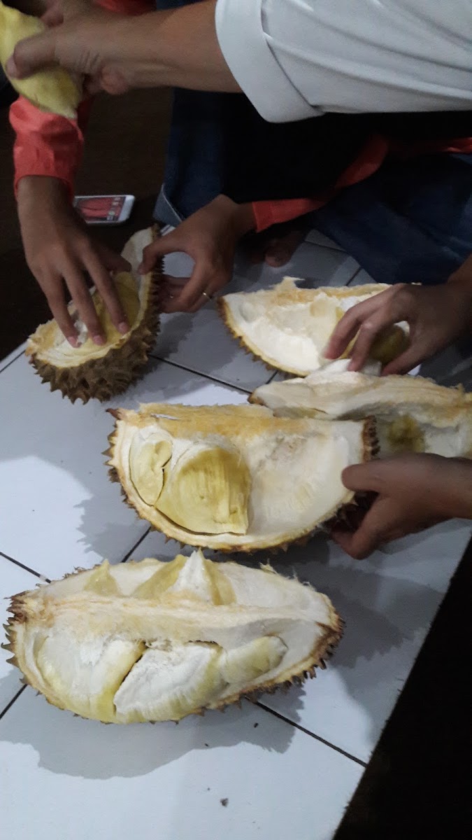 Cafe Fresh Milk Milky O - 7