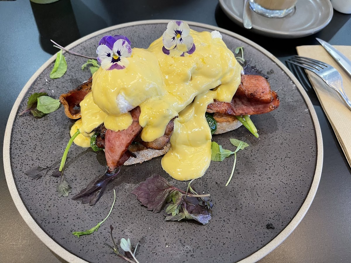 Kulture Kafe Macarthur Square - 4