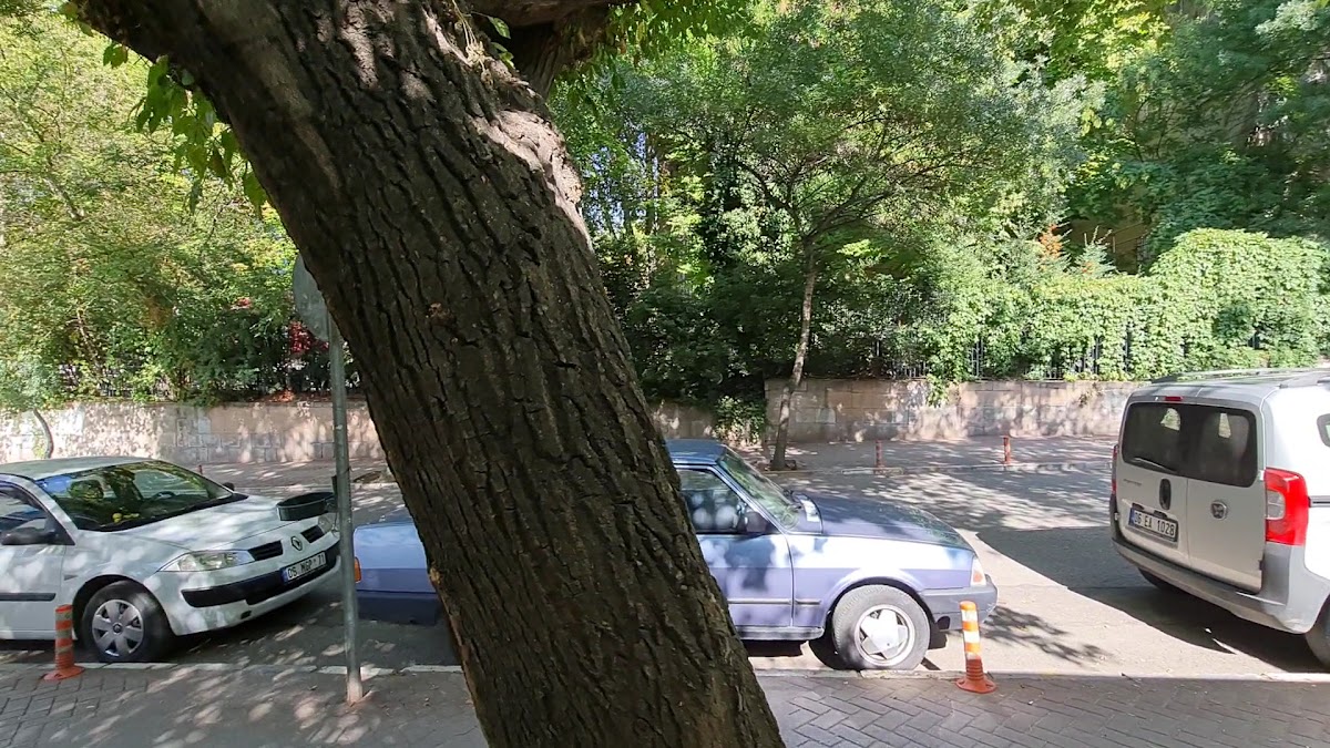 Sesamos Cafe Bistro - 2