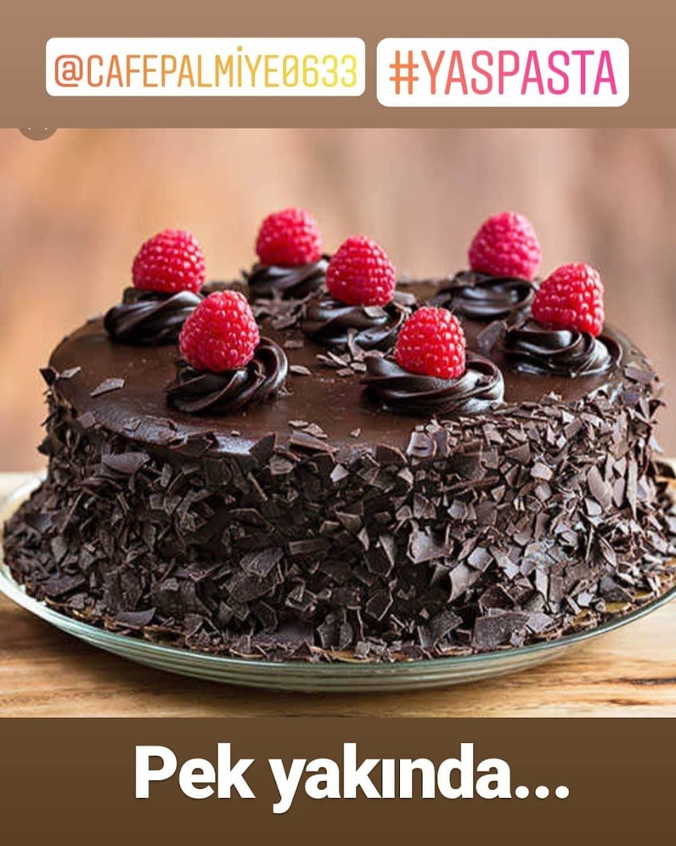 Cafe Palmiye dondurma ve seyahat acentası - 8