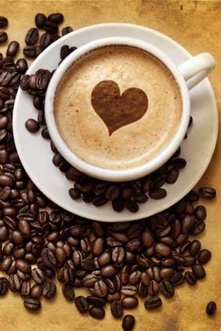 Jack Sparrow Cafe - 5