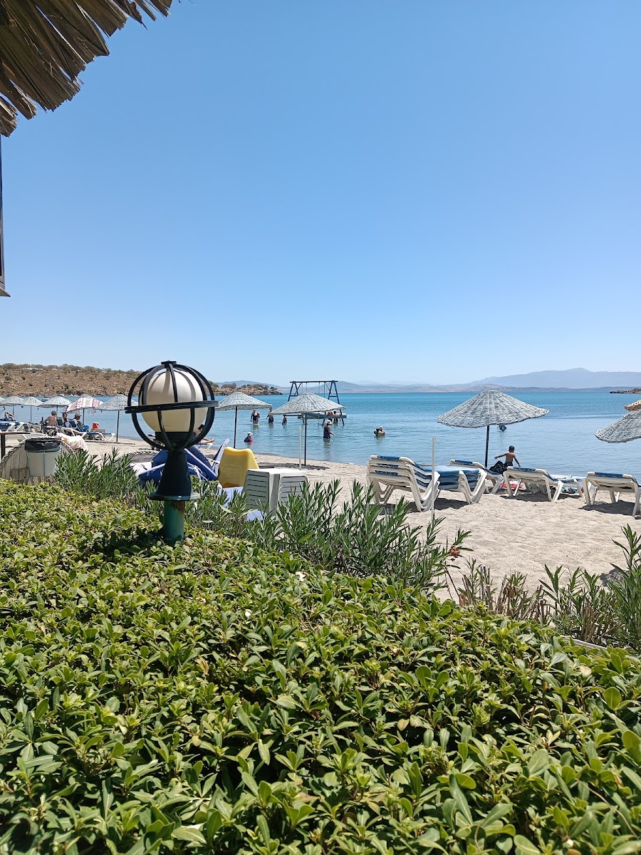 Dandik Cafe Beach - 4