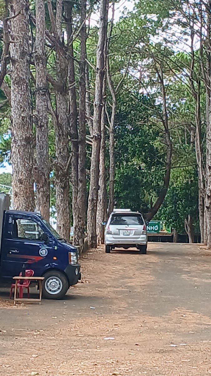 Cafe võng Thanh Thảo - 4