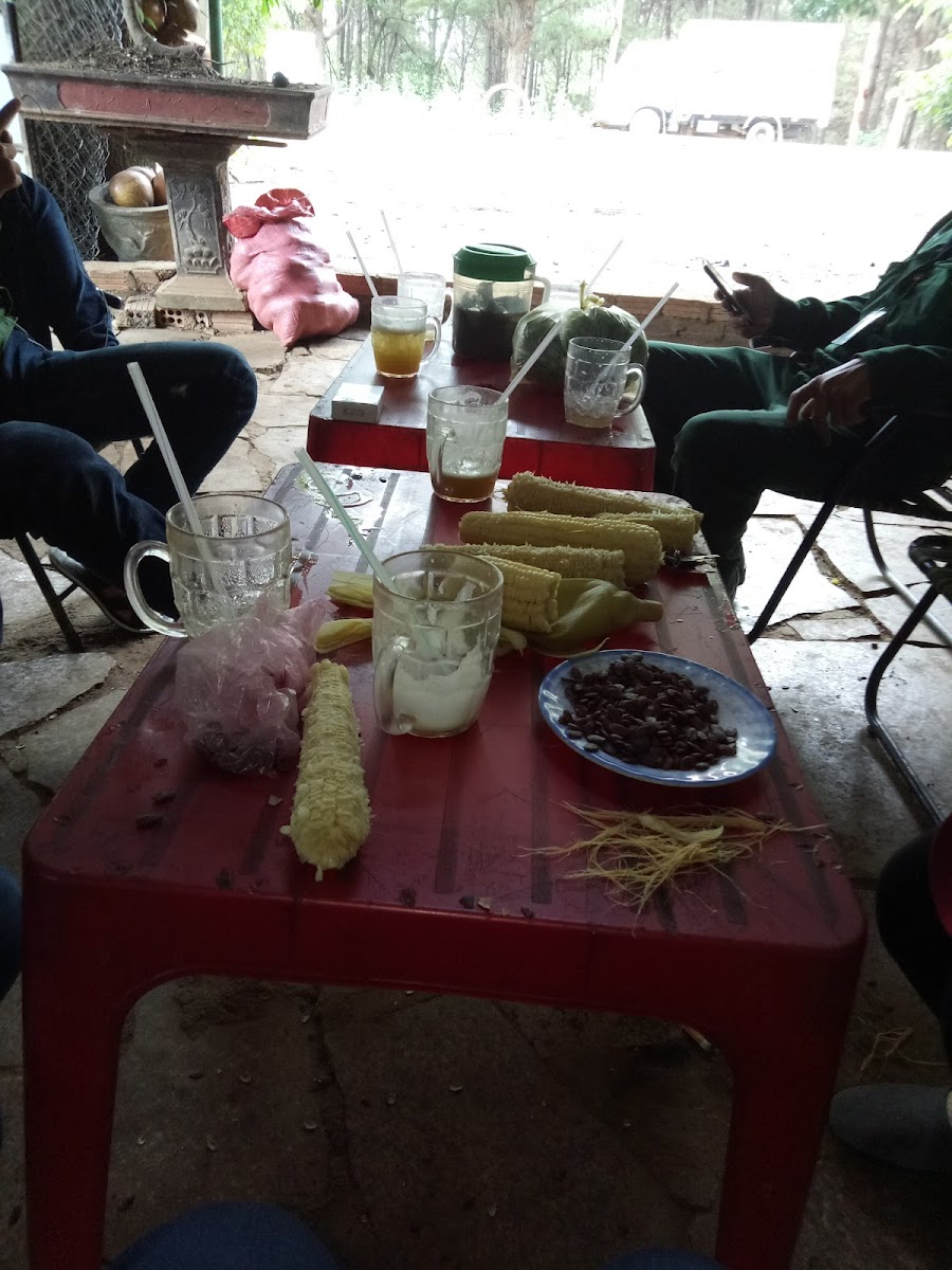 Cafe võng Thanh Thảo - 7