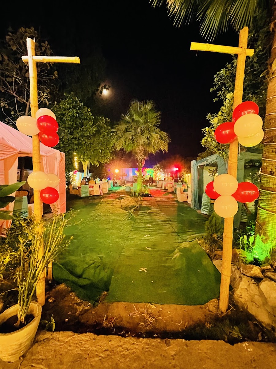 Jungle house cafe - 2