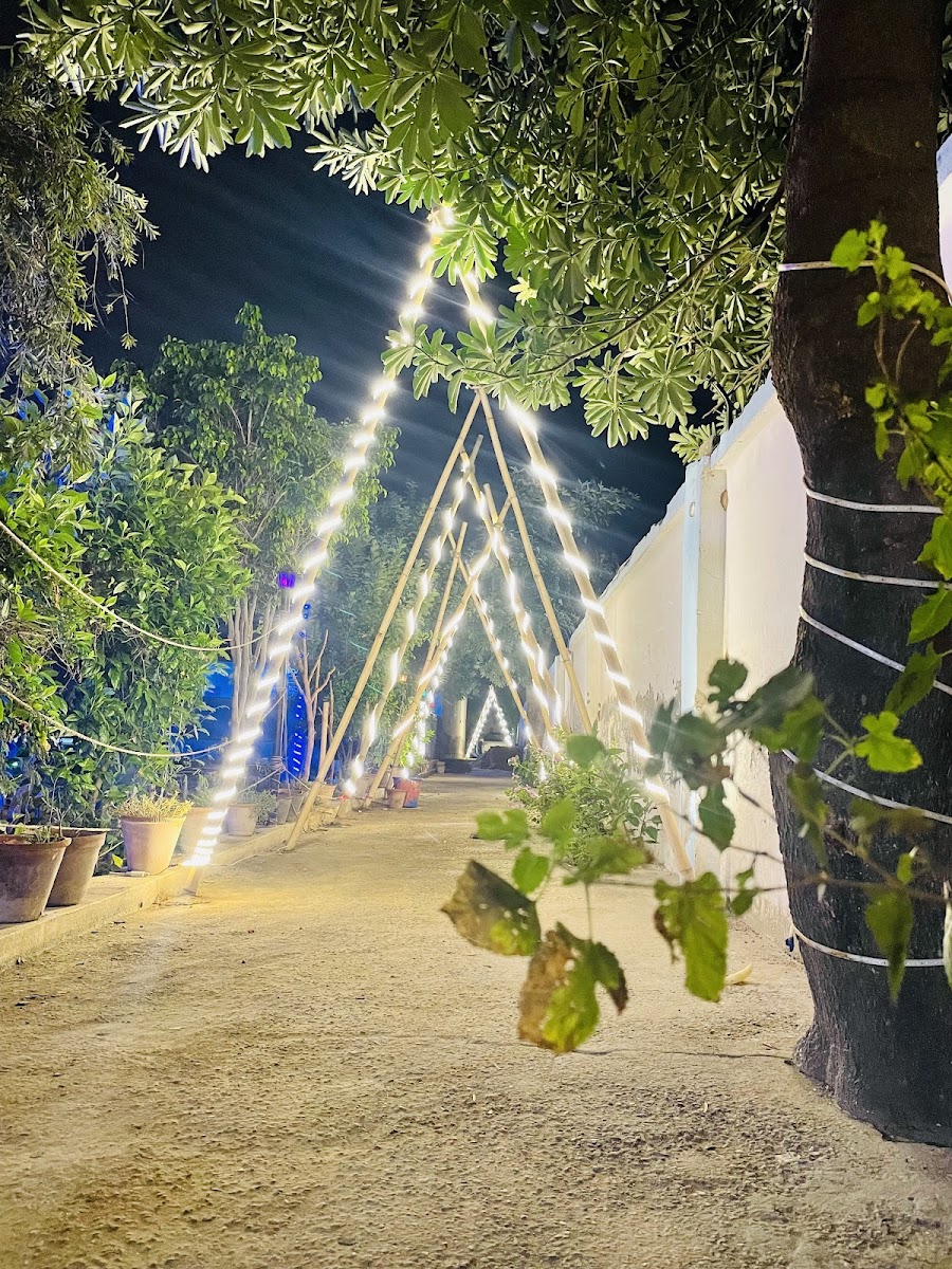 Jungle house cafe - 4