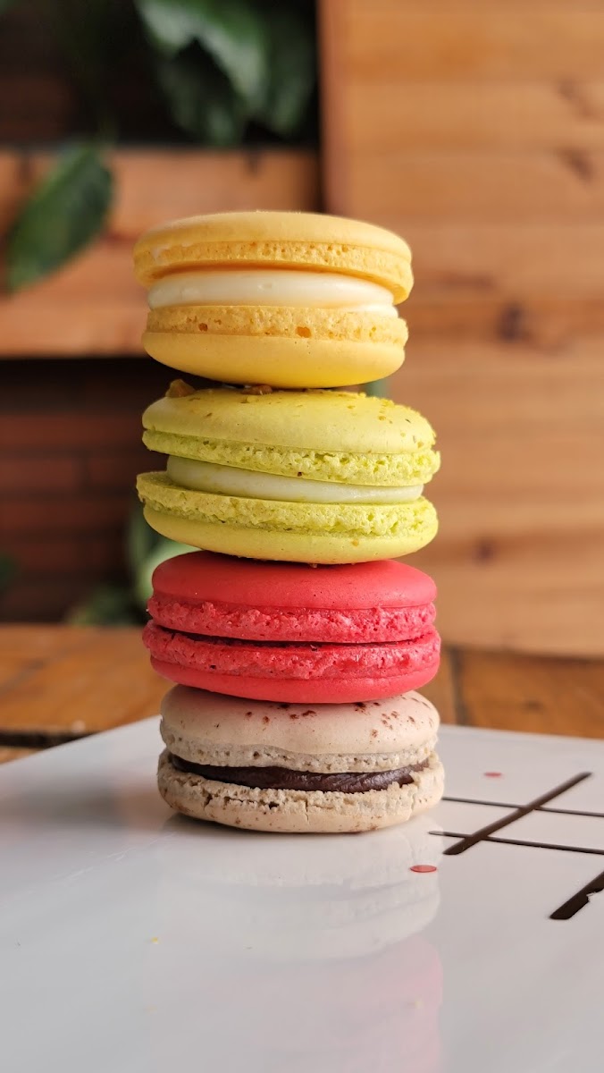 Novo Mundo Café C.A - 7