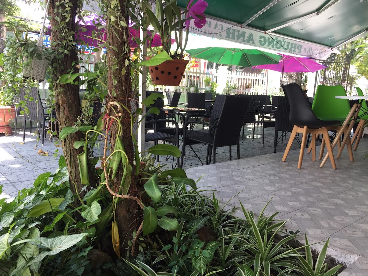 Phuong Anh Coffee - 10