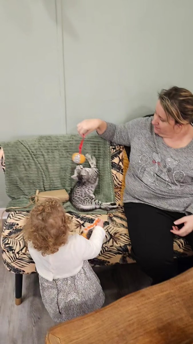 Ô p'tits chats gaillards - 2