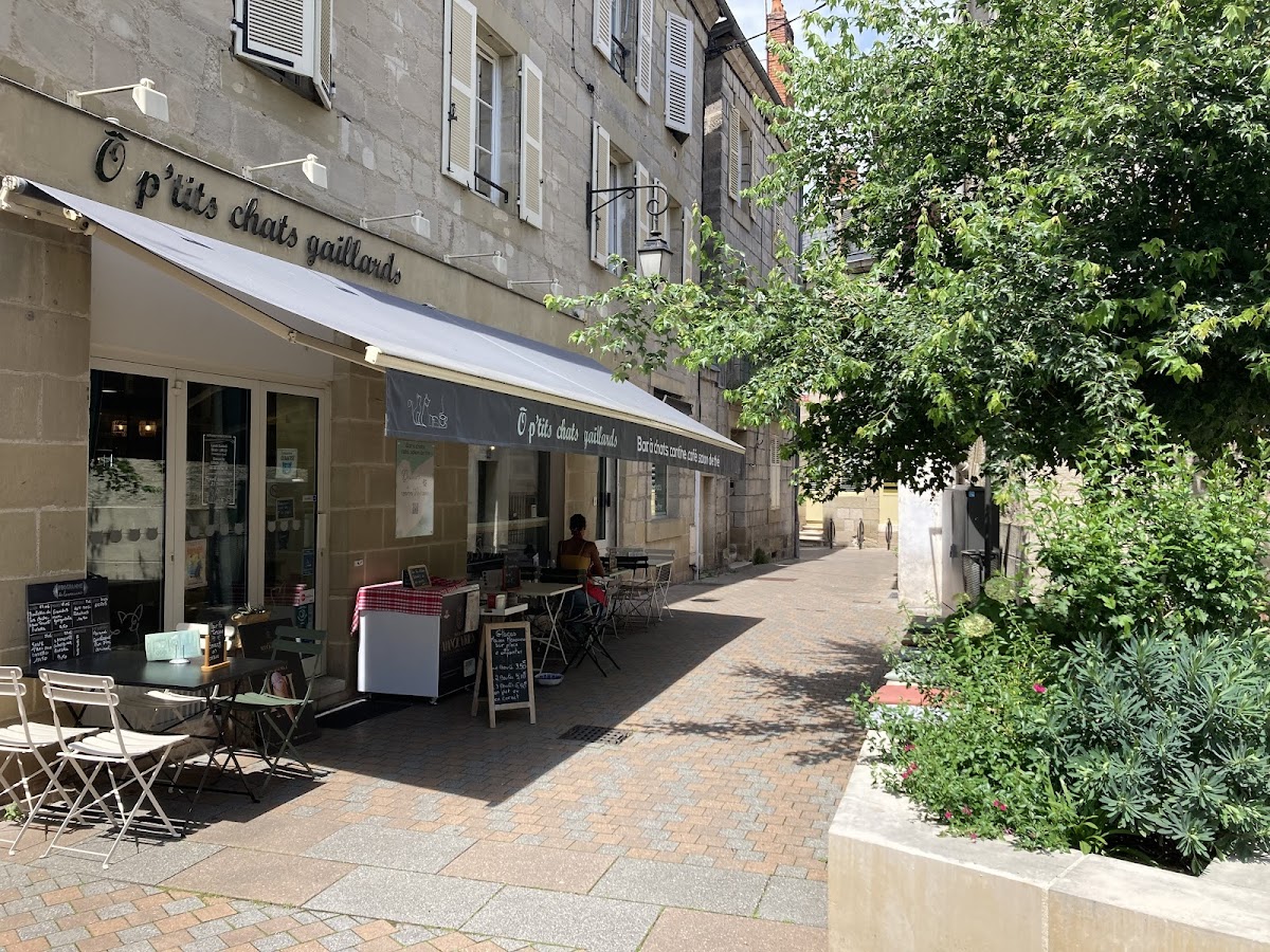 Ô p'tits chats gaillards - 8