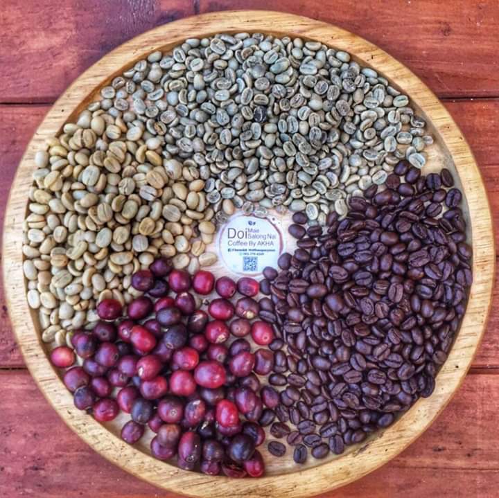 Organic Java Coffee House - 3