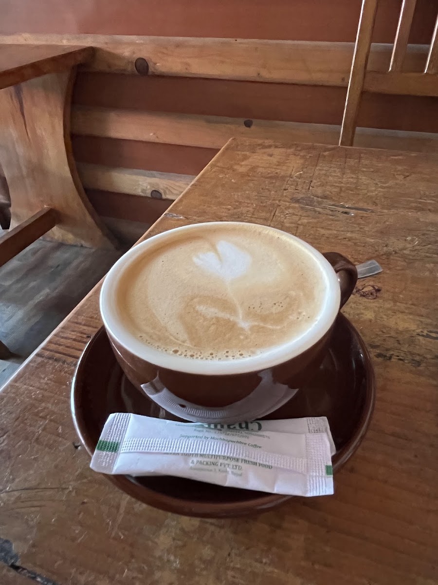 Organic Java Coffee House - 9