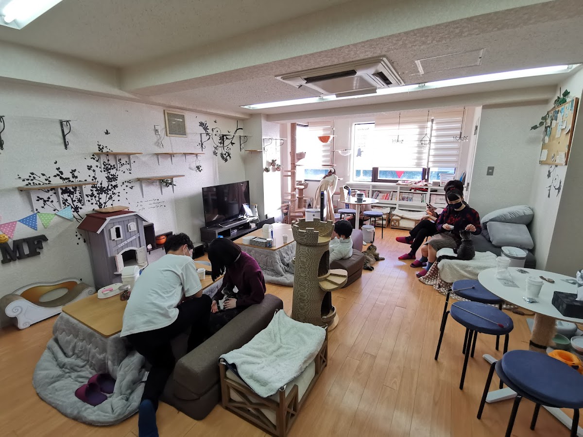 Cat cafe mfmf
