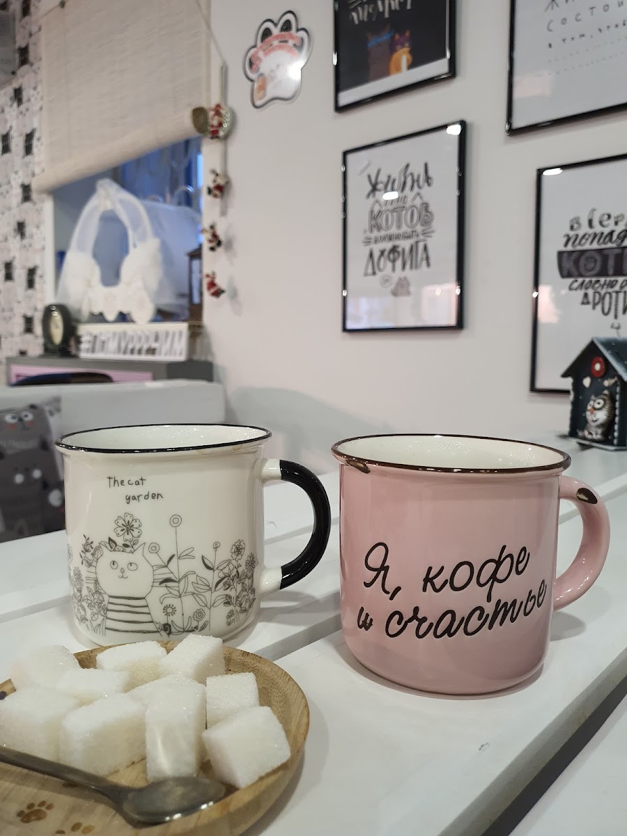 Kotokafe Pomurrrchim - 5