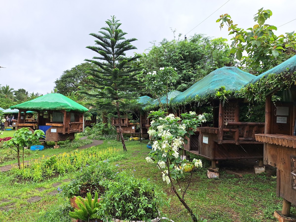 Paradise FarmFresh (formerly TFF Pizza Paradise) - 4