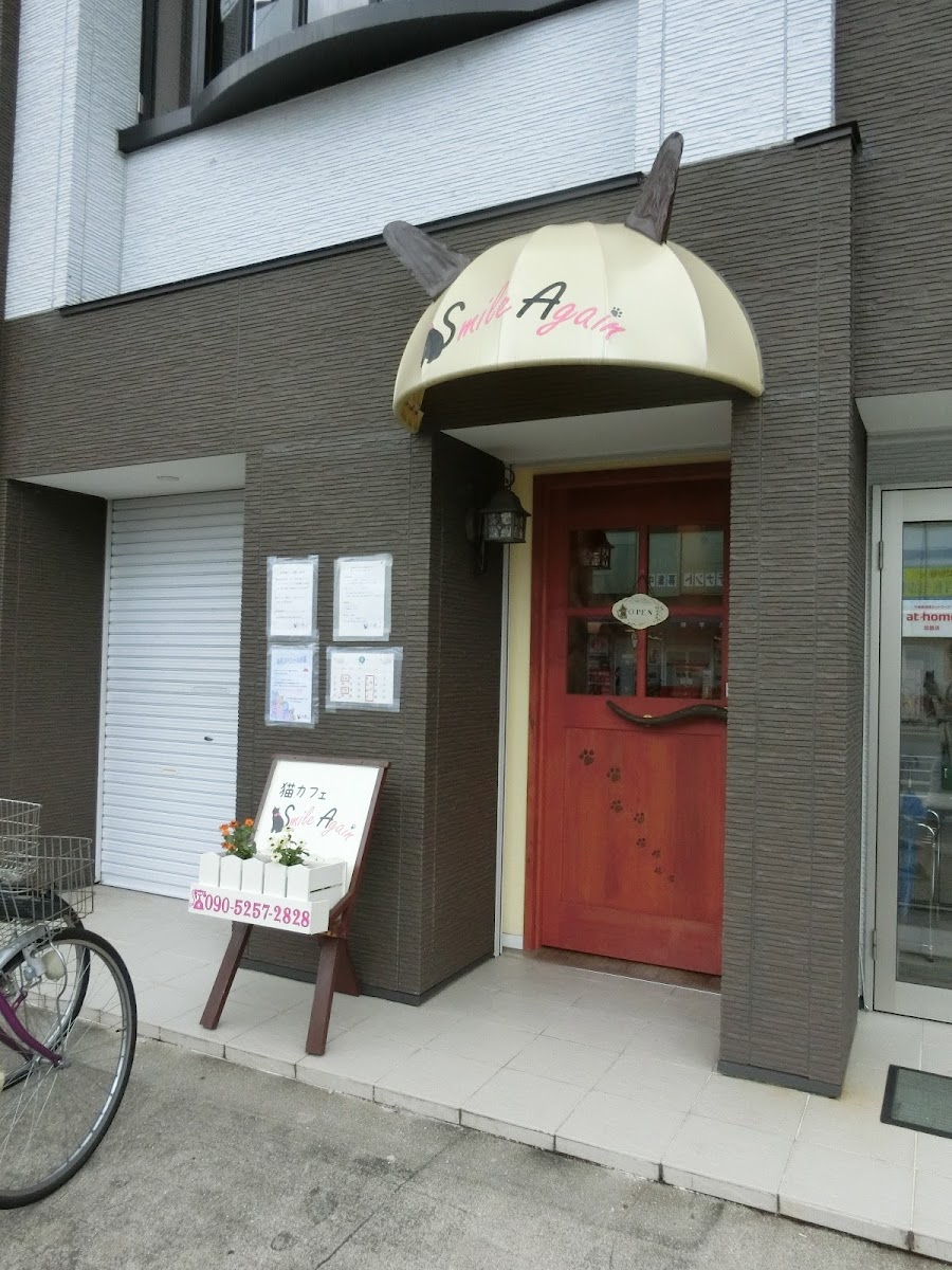 Cat Cafe Smile Again - 3